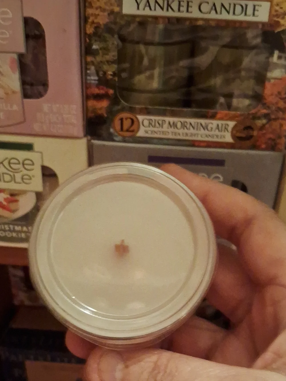 2 Woodwick Palo Santo Petite Candle - Beige Label, Clear Tin